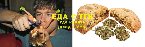 индика Тайга