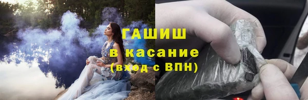 индика Тайга