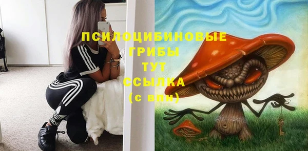 мдпв Балабаново